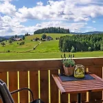 Haldenmichelhof 3* Breitnau