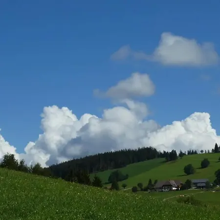 Haldenmichelhof Breitnau