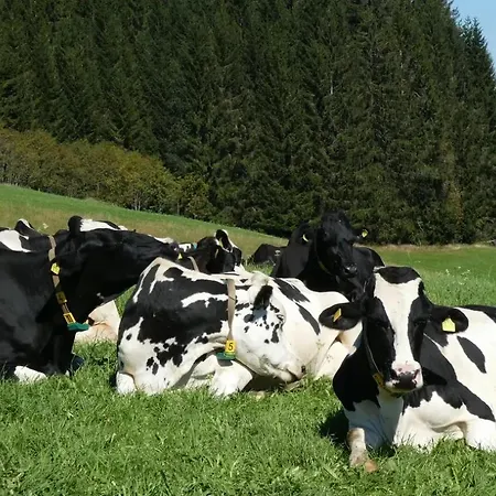 게스트하우스 Haldenmichelhof 3*