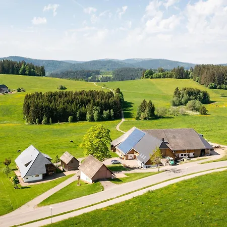 Gæstehus Haldenmichelhof Breitnau