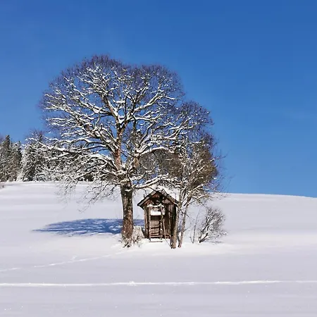Gæstehus Haldenmichelhof Breitnau