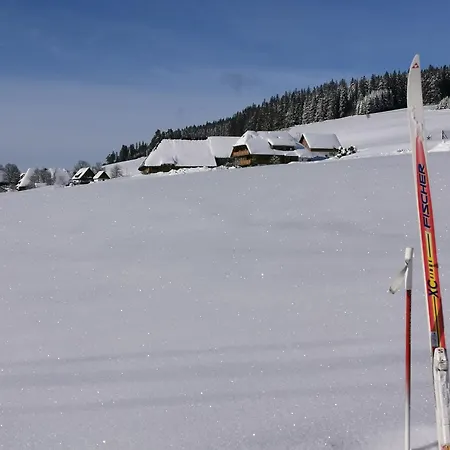 Haldenmichelhof 3* Breitnau
