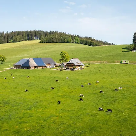Haldenmichelhof 3*